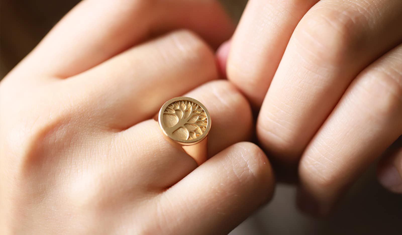 Vous souhaitez savoir ce que représente la chevalière ?